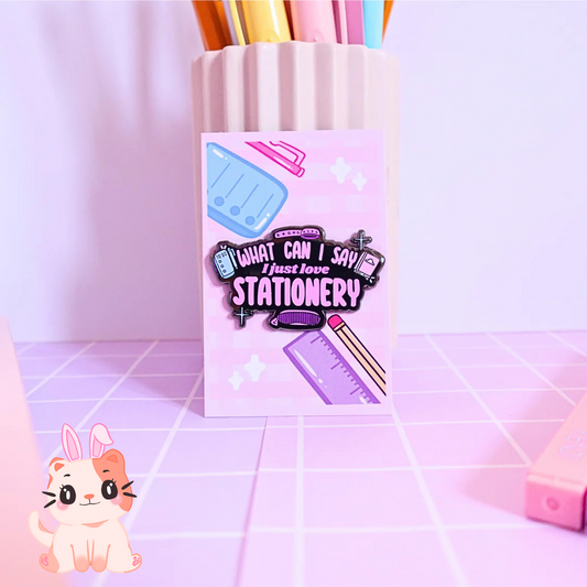 What Can I Say, I Just Love Stationery Pin
